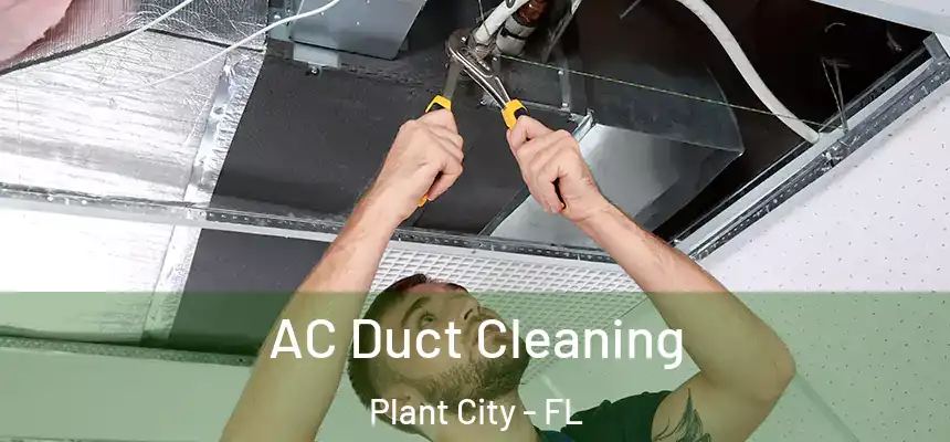  AC Duct Cleaning Plant City - FL