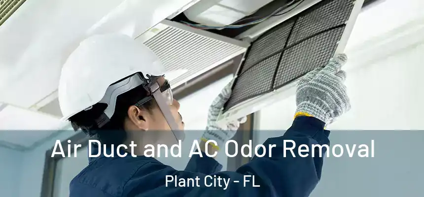 Air Duct and AC Odor Removal Plant City - FL