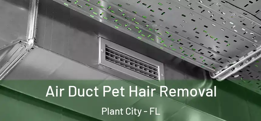  Air Duct Pet Hair Removal Plant City - FL