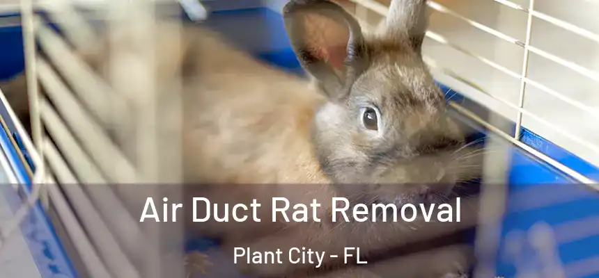  Air Duct Rat Removal Plant City - FL