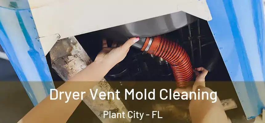 Dryer Vent Mold Cleaning Plant City - FL