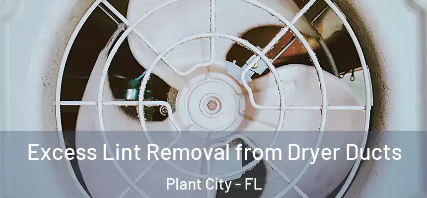 Excess Lint Removal from Dryer Ducts Plant City - FL
