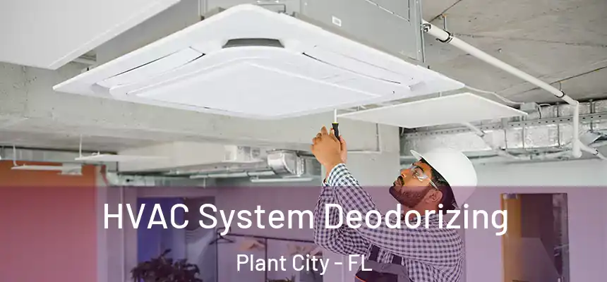 HVAC System Deodorizing Plant City - FL