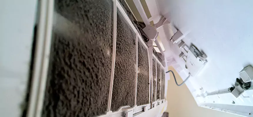 Preventive Air Duct Bacteria Removal in Plant City