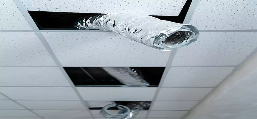 Affordable HVAC Sanitizing After Pest Removal in Plant City