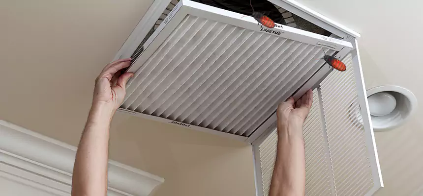 Our Insect Removal from Air Ducts Services in Plant City, FL