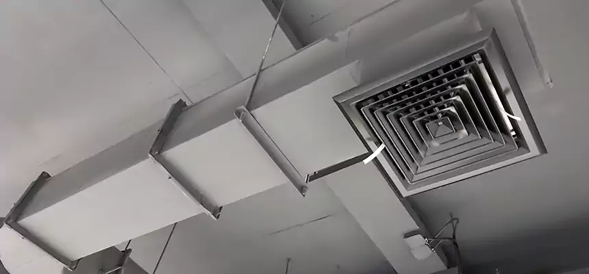 Our Pest Removal From Ducts Services in Plant City, FL