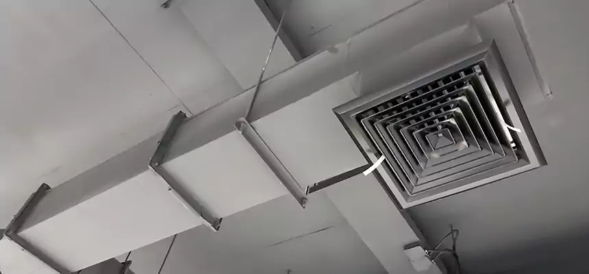 Our Rodent Droppings In Vents Services in Plant City, FL