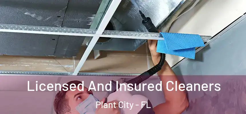Licensed And Insured Cleaners Plant City - FL