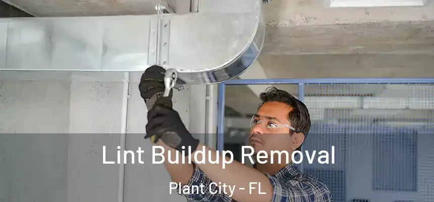 Lint Buildup Removal Plant City - FL