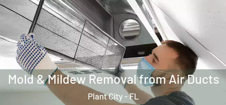 Mold & Mildew Removal from Air Ducts Plant City - FL