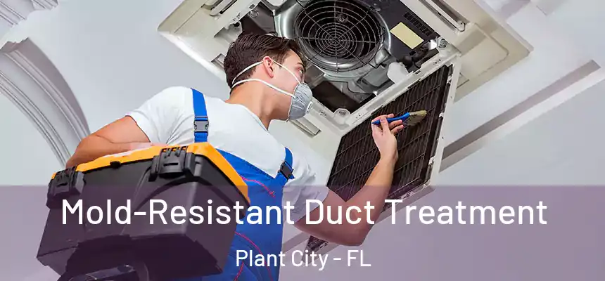  Mold-Resistant Duct Treatment Plant City - FL