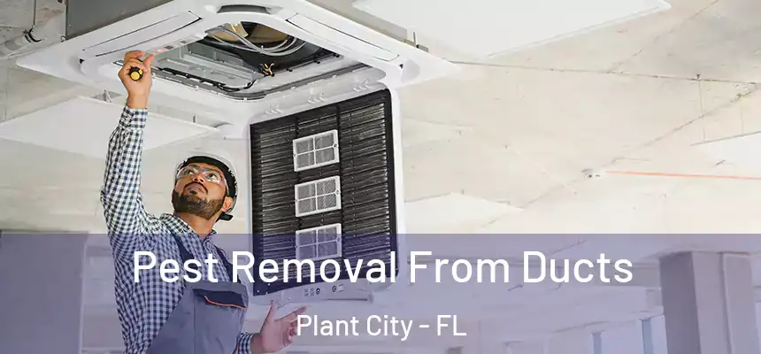 Pest Removal From Ducts Plant City - FL