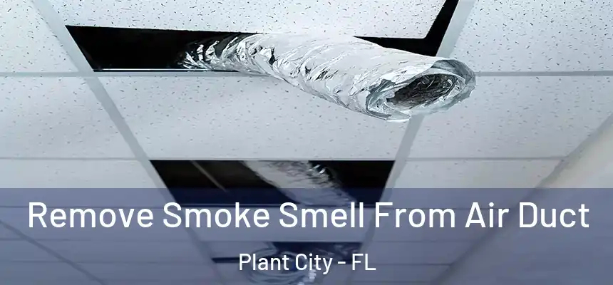  Remove Smoke Smell From Air Duct Plant City - FL