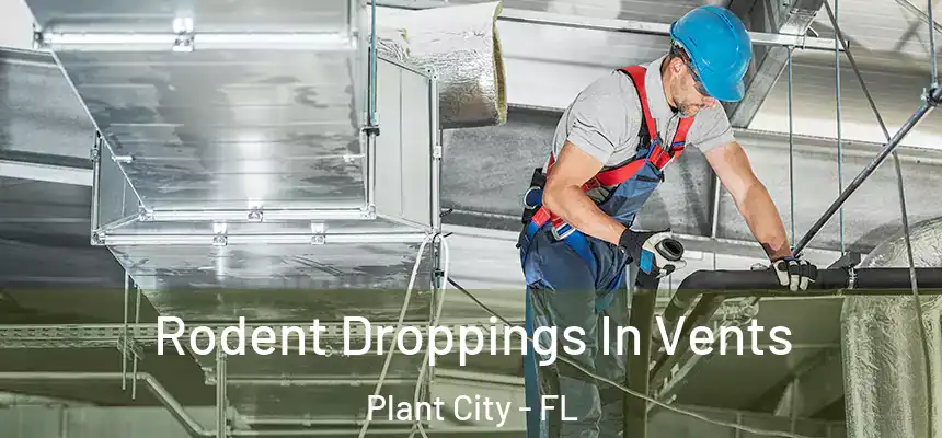 Rodent Droppings In Vents Plant City - FL
