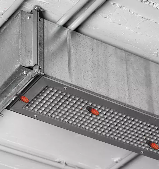 About Air Duct Cockroach Removal in Plant City, FL
