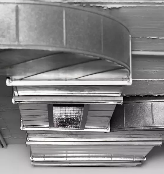 Professional Air Duct Pet Hair Removal in Plant City, FL