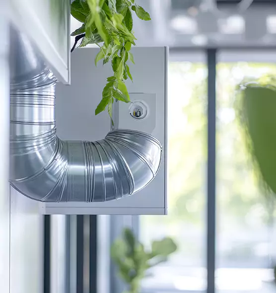 Professional Eco-Friendly Duct Cleaning Services in Plant City, FL