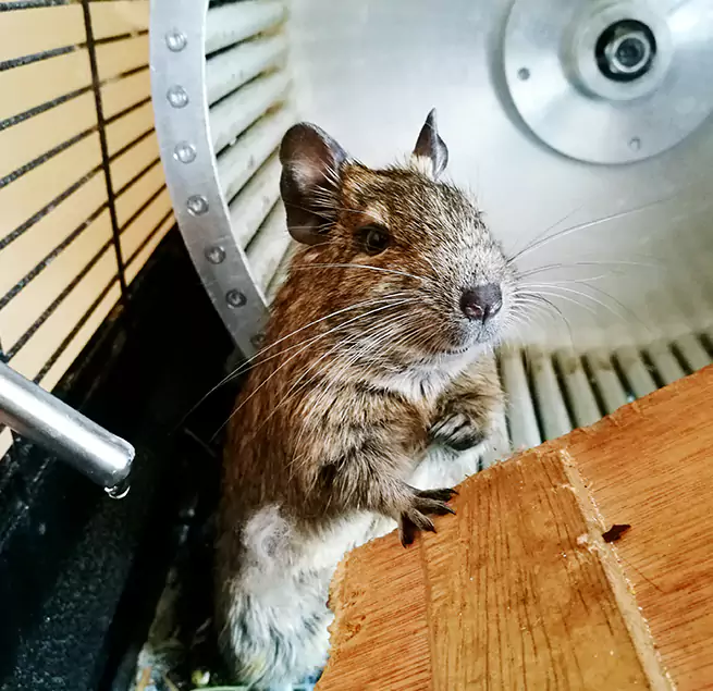 Why Homeowners & Businesses Trust Us Plant City, FL?