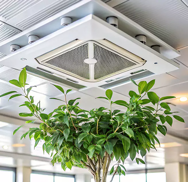 Why Homeowners & Businesses Trust Us in Plant City, FL