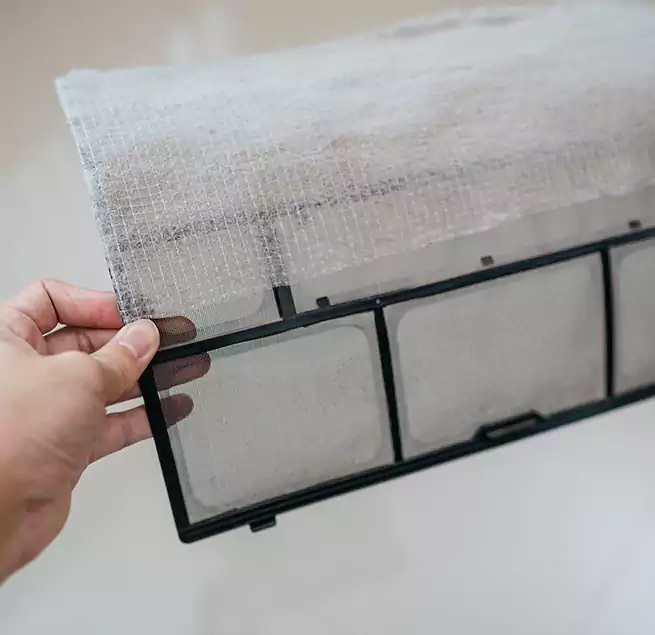 Why Homeowners & Businesses Trust Us in Plant City, FL?