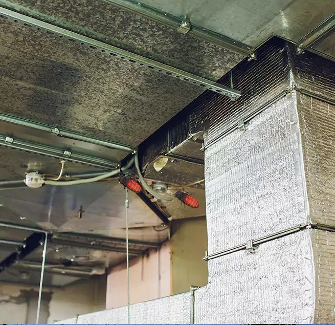 Why Homeowners & Businesses Trust Us Plant City, FL?