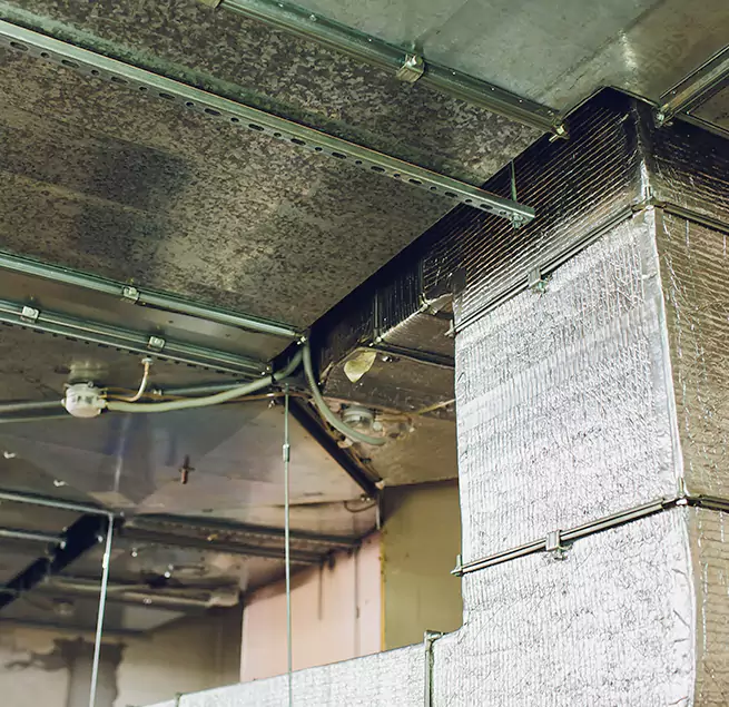 Why Homeowners & Businesses Trust Us in Plant City, FL?