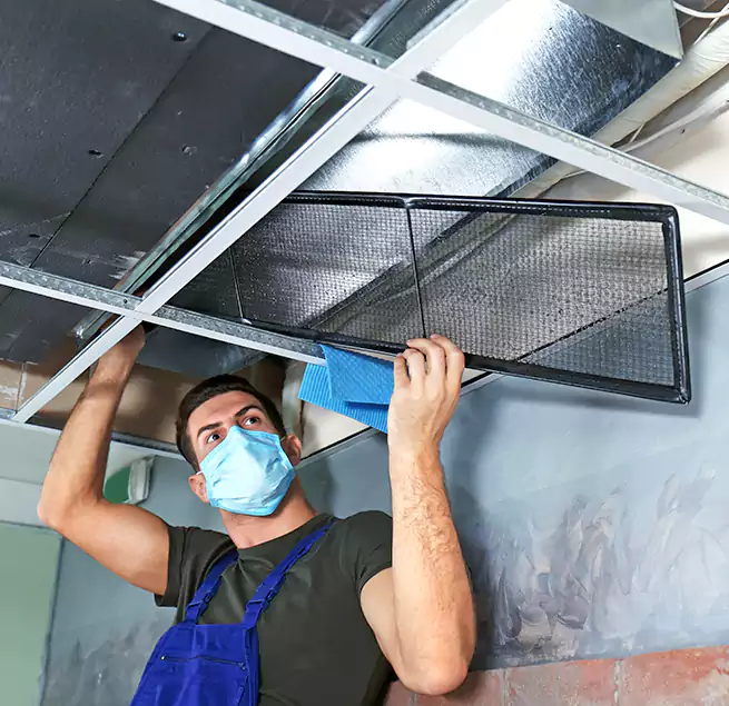 Why Homeowners Businesses Trust Us in Plant City, FL