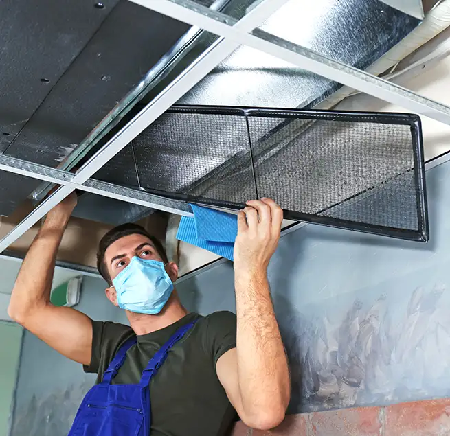 Why Homeowners & Businesses Trust Us in Plant City, FL?