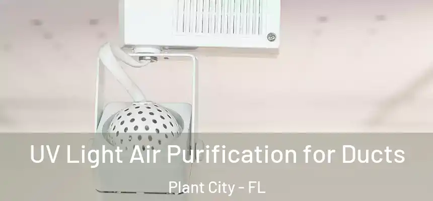  UV Light Air Purification for Ducts Plant City - FL